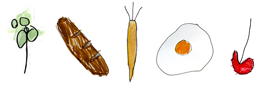 Simple drawings of a green plant, a loaf of bread, a carrot, a fried egg, and a red fruit or vegetable arranged in a row on a white background.