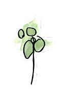 Simple line drawing of a green plant with three leaves and a thin stem on a white background.