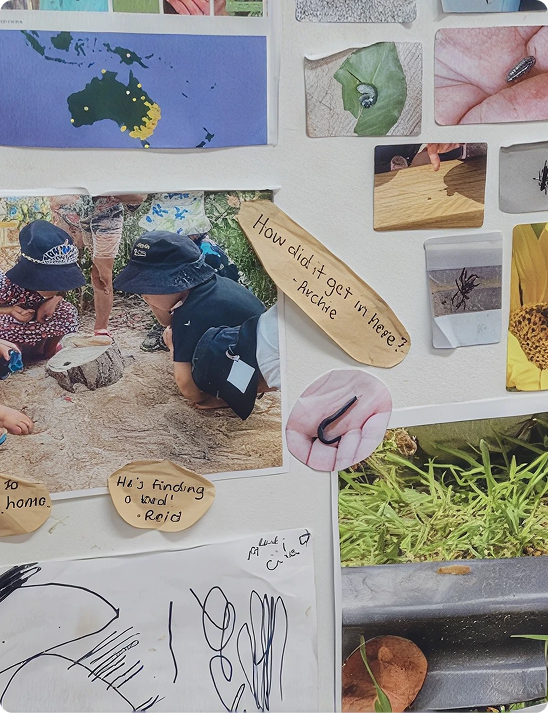 A collage of photos showing children exploring nature, insects, plants, and handwritten notes about their observations and questions.
